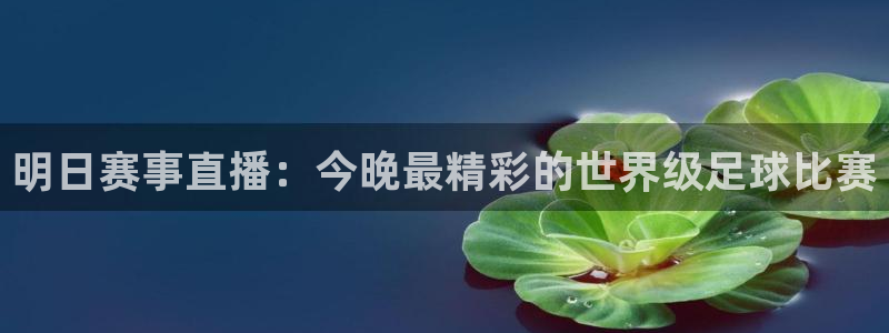  明日赛事直播：今晚最精彩的世界级足球比赛