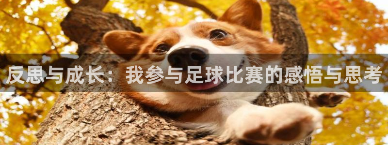  反思与成长：我参与足球比赛的感悟与思考