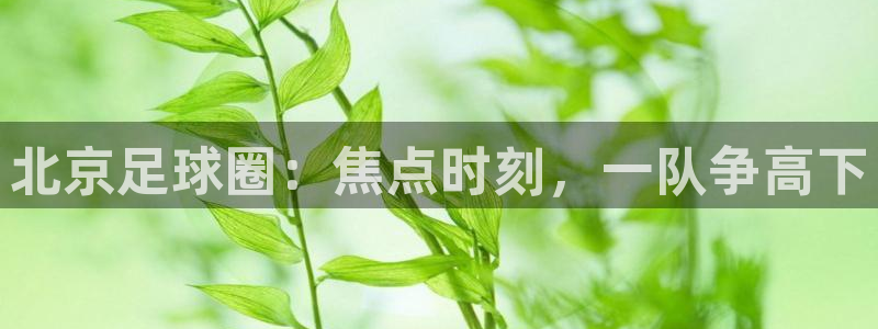 北京足球圈：焦点时刻，一队争高下
