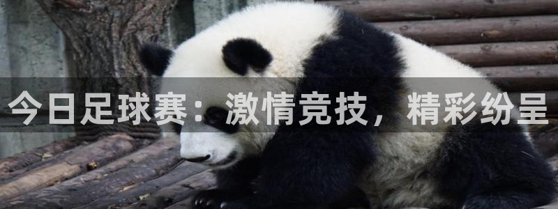 今日足球赛：激情竞技，精彩纷呈