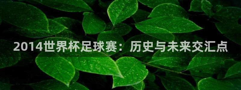  2014世界杯足球赛：历史与未来交汇点