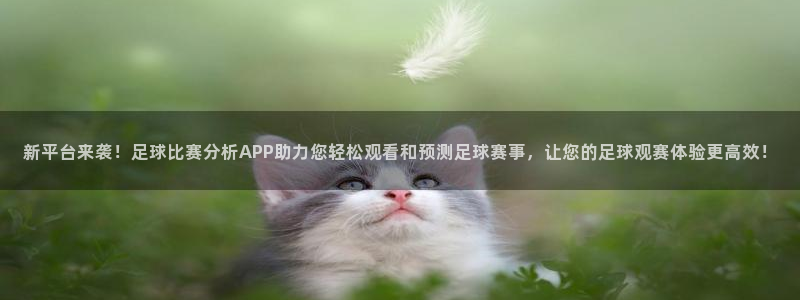 新平台来袭！足球比赛分析APP助力您轻松观看和预测足球赛事，