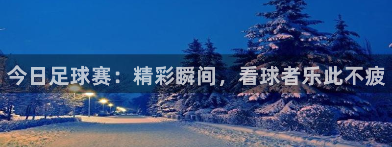 今日足球赛：精彩瞬间，看球者乐此不疲