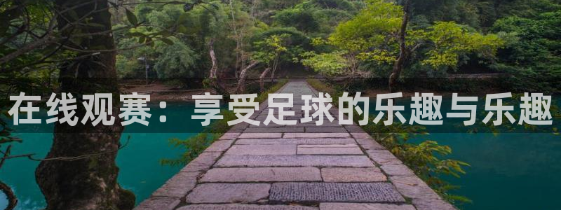  在线观赛：享受足球的乐趣与乐趣