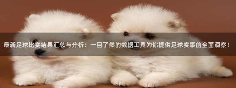  最新足球比赛结果汇总与分析：一目了然的数据工具为你提供足球赛