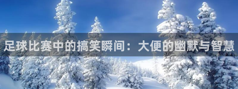 足球比赛中的搞笑瞬间：大便的幽默与智慧