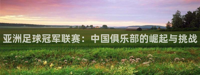  亚洲足球冠军联赛：中国俱乐部的崛起与挑战