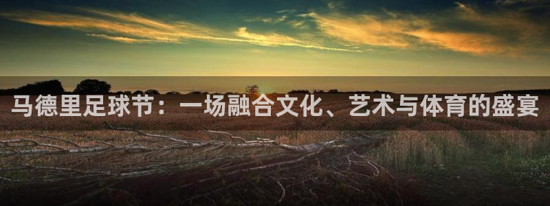  马德里足球节：一场融合文化、艺术与体育的盛宴