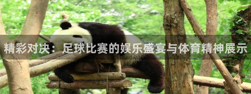 精彩对决：足球比赛的娱乐盛宴与体育精神展示