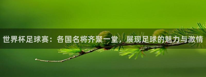 世界杯足球赛：各国名将齐聚一堂，展现足球的魅力与激情