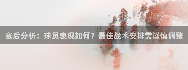 赛后分析：球员表现如何？最佳战术安排需谨慎调整