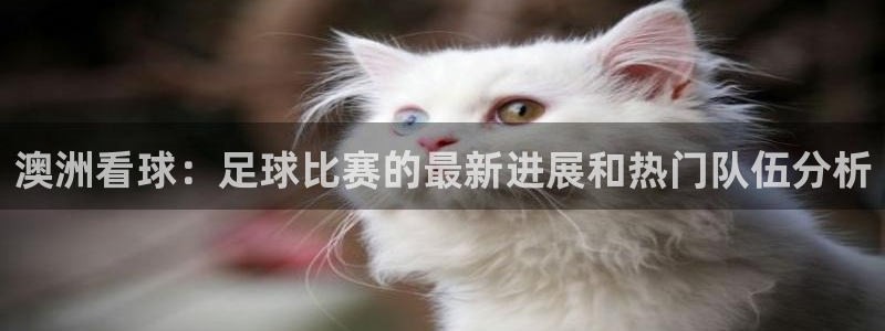 澳洲看球：足球比赛的最新进展和热门队伍分析