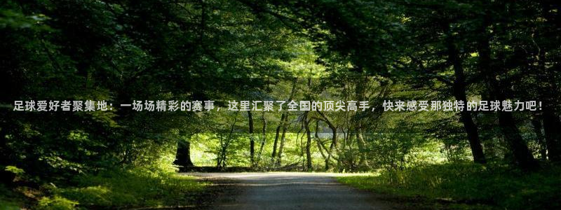  足球爱好者聚集地：一场场精彩的赛事，这里汇聚了全国的顶尖高手
