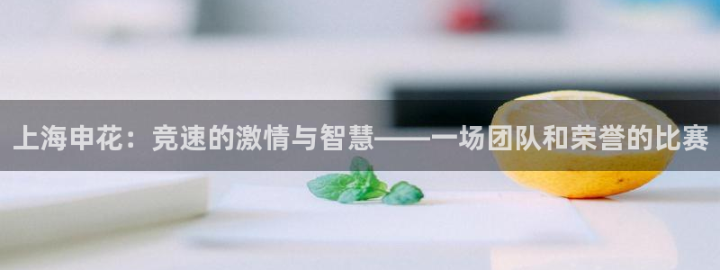 上海申花：竞速的激情与智慧——一场团