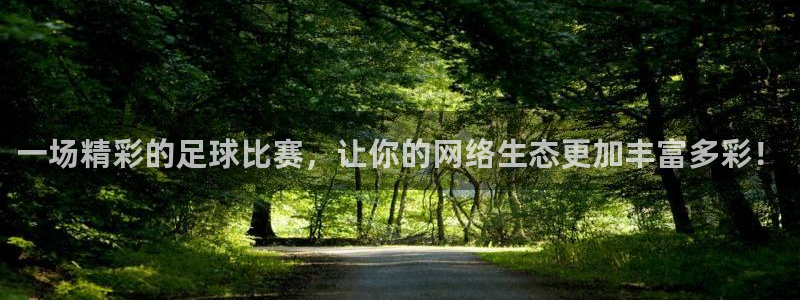 一场精彩的足球比赛，让你的网络生态更