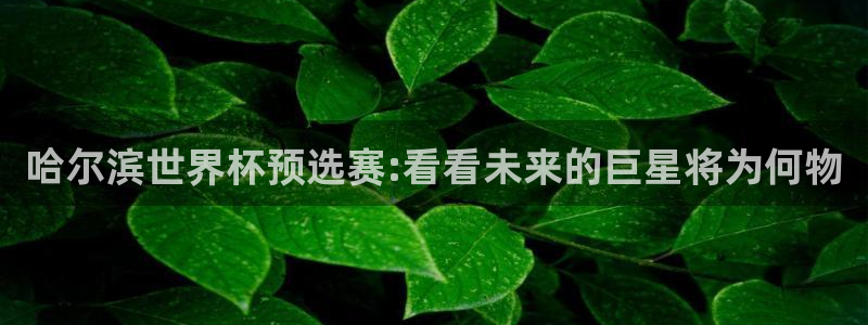 哈尔滨世界杯预选赛:看看未来的巨星将
