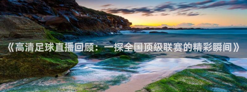 《高清足球直播回顾：一探全国顶级联赛