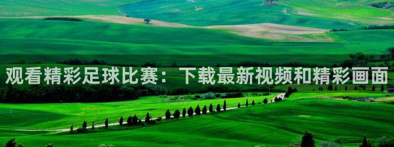 观看精彩足球比赛：下载最新视频和精彩