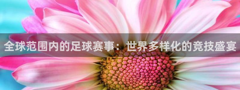 全球范围内的足球赛事：世界多样化的竞