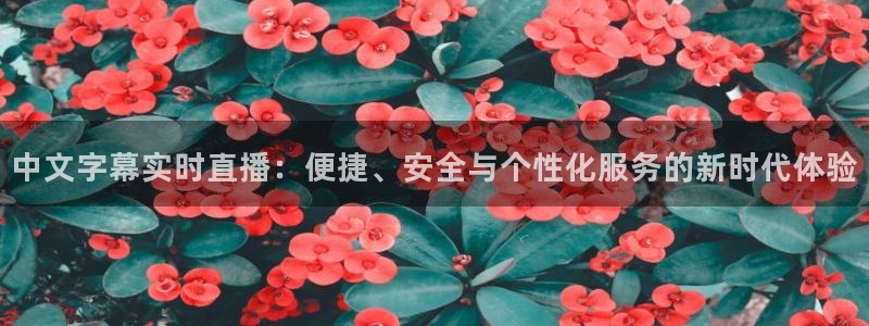 雨燕体育免费直播观看比赛：中文字幕实时直播：便捷、安全与个性化服务的新时代体验