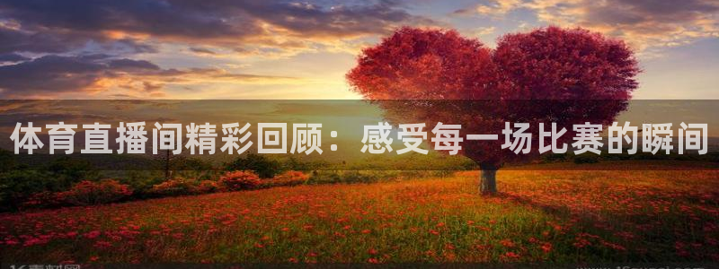 雨燕360nba直播：体育直播间精彩回顾：感受每一场比赛的瞬间