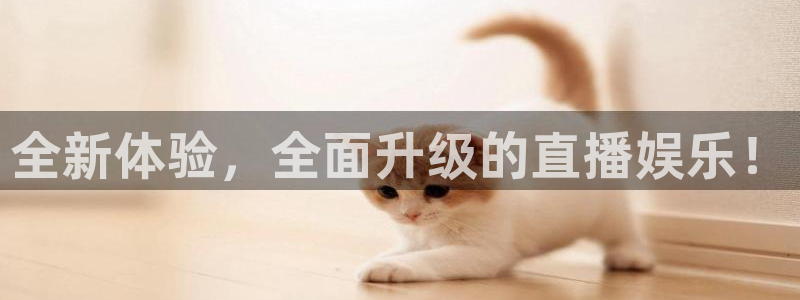 足球直播360雨燕直播：全新体验，全面升级的直播娱乐！