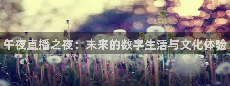 雨燕360体育免费直播链接：午夜直播之夜：未来的数字生活与文化体验