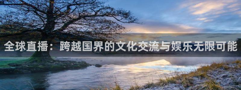 雨燕在线直播足球直播：全球直播：跨越国界的文化交流与娱乐无限可能