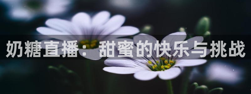 雨燕正在直播nba：奶糖直播：甜蜜的快乐与挑战