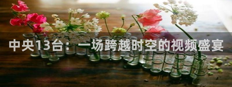 极速体育雨燕直播观看：中央13台：一场跨越时空的视频盛宴