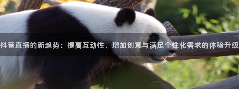 360雨燕免费直播：抖音直播的新趋势：提高互动性、增加创意与满足个性化需求的体验升级