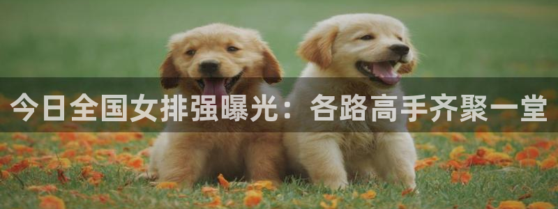 nba雨燕直播免费观看直播软件：今日全国女排强曝光：各路高手齐聚一堂