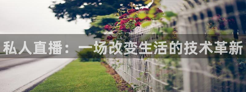 nba雨燕直播免费：私人直播：一场改变生活的技术革新