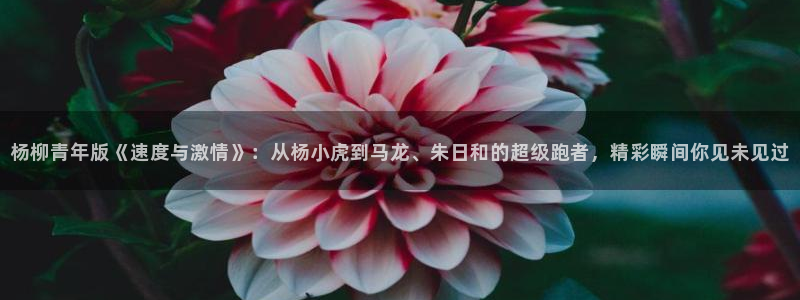 雨燕直播足球直播在线直播：杨柳青年版《速度与激情》：从杨小虎到马龙、朱日和的超级跑者，精彩瞬间你见未见过