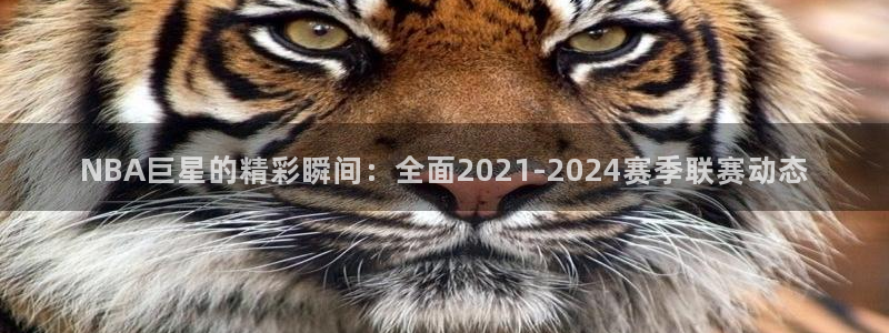 nba球赛直播高清雨燕：NBA巨星的精彩瞬间：全面2021-2024赛季联赛动态