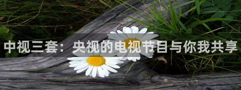 雨燕体育直播免费高清无插件：中视三套：央视的电视节目与你我共享