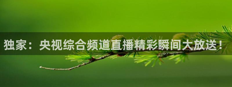 雨燕360体育直播nba免费入口：独家：央视综合频道直播精彩瞬间大放送！