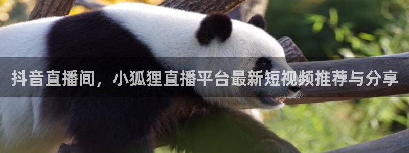 360雨燕免费直播：抖音直播间，小狐狸直播平台最新短视频推荐与分享