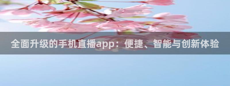 雨燕无插件直播体育nba：全面升级的手机直播app：便捷、智能与创新体验