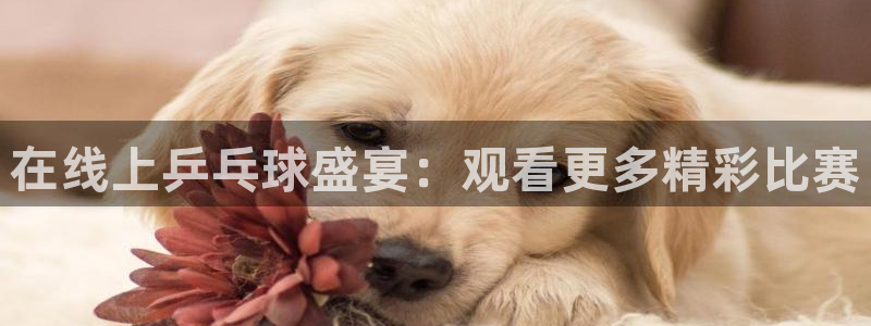 雨燕直播360高清直播nba：在线上乒乓球盛宴：观看更多精彩比赛
